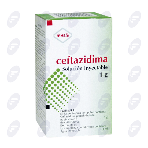 [020027] CEFTAZIDIMA  AMSA AMP.1 G IM/IV AMP.