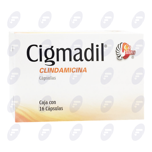 [034153] CIGMADIL          300 MG.CAJA C/16 CAPS.