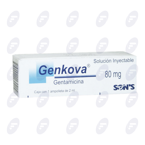 [013054] GENKOVA ADTO.        80 MG.FCO.AMP.2 ML.
